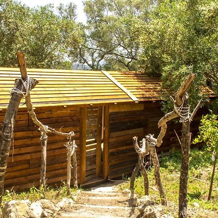 Pelekas Olive Grove Oasis Room No4 Exterior photo
